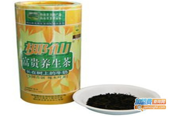 辣木养生茶加盟费