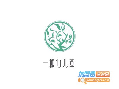 一棵仙儿草加盟费