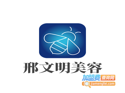 邢文明美容加盟费