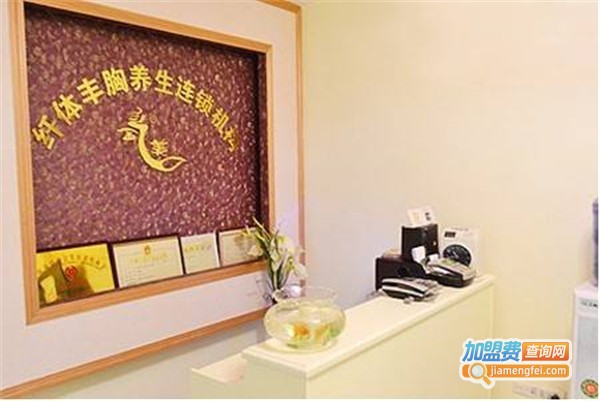 金乙美加盟费