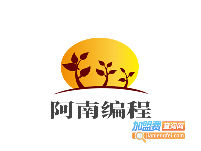阿南编程加盟费