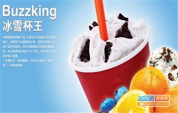 冰雪新语冰淇淋加盟费