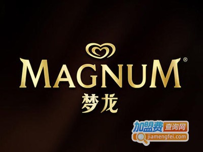 magnum雪糕加盟费