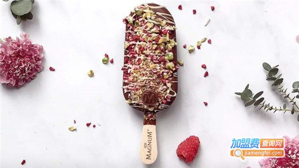 magnum雪糕加盟费