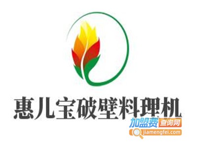 惠儿宝破壁料理机加盟