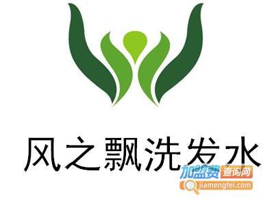 风之飘洗发水加盟费
