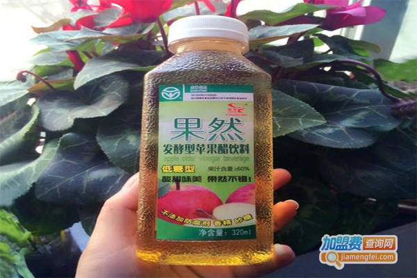 果然牌苹果醋加盟费