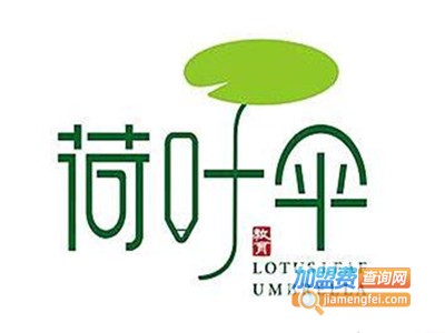 荷叶伞教育加盟