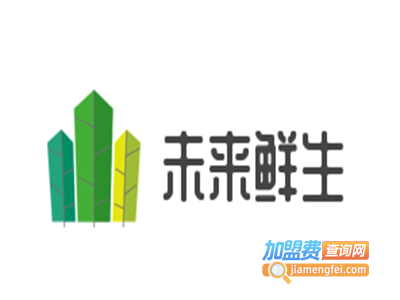 未来鲜生加盟费