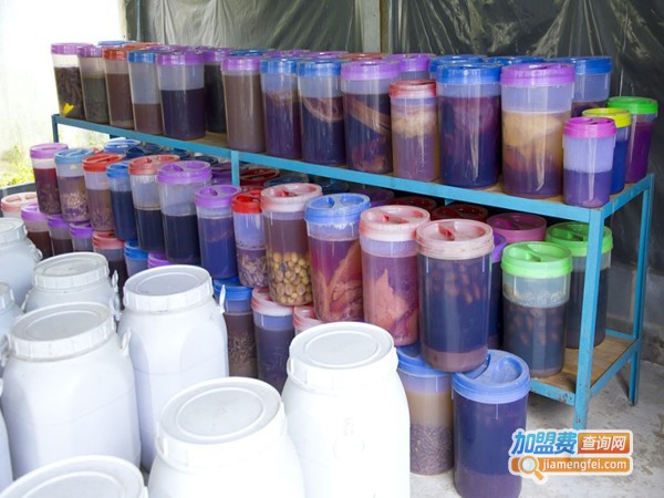 皇嘉丽涂料加盟门店