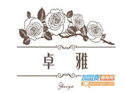 卓雅化妆品加盟