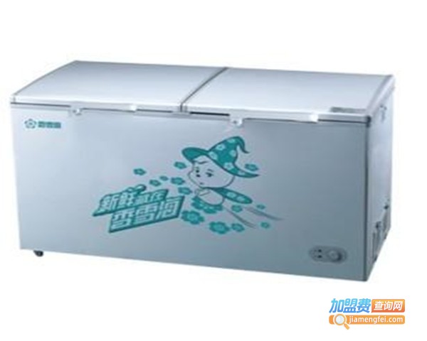 香雪海冰柜加盟费