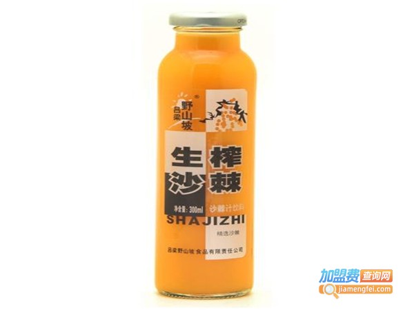 沙棘果汁加盟费