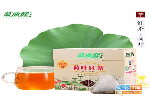 茶丽健加盟费