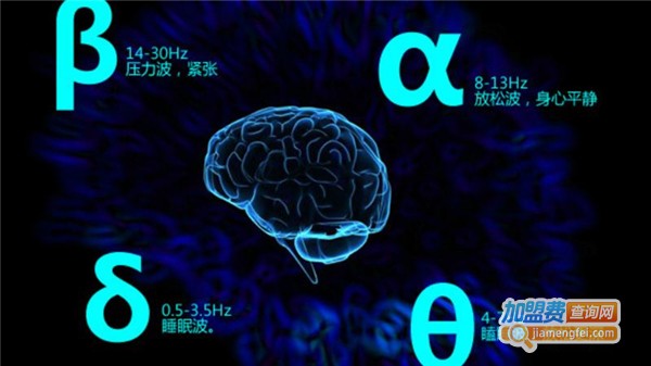 阿尔法潜能开发加盟费