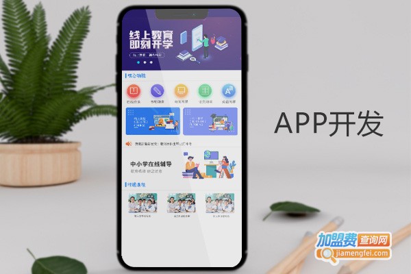 常青藤小程序加盟费