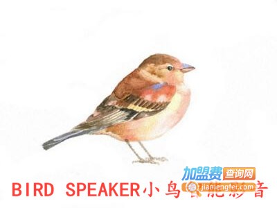BIRD SPEAKER小鸟智能影音加盟费