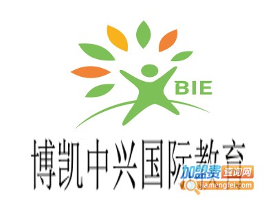 博凯中兴国际教育加盟费