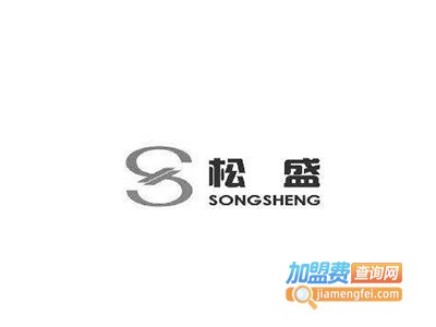 松盛机器人加盟费