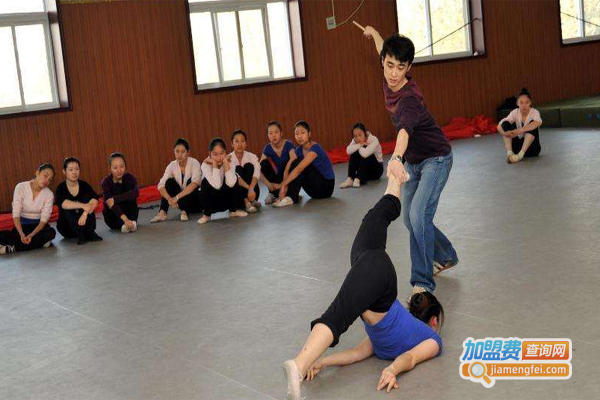 danceto当兔国际艺术教育加盟费