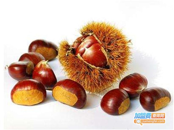 满栗堂加盟费