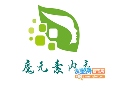 魔元素内衣加盟费