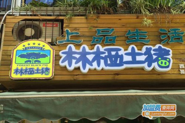林栖土猪加盟门店