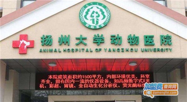 扬大动物医院加盟费