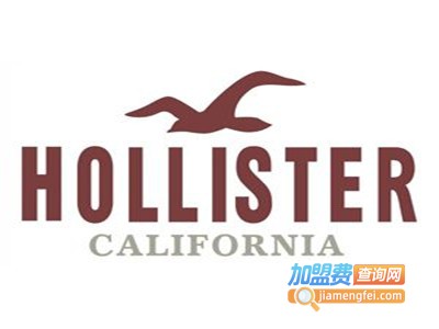 HOLLISTER休闲装加盟