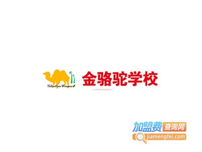 金骆驼培训加盟费