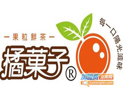 橘菓子奶茶加盟费