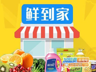 鲜都到家加盟电话