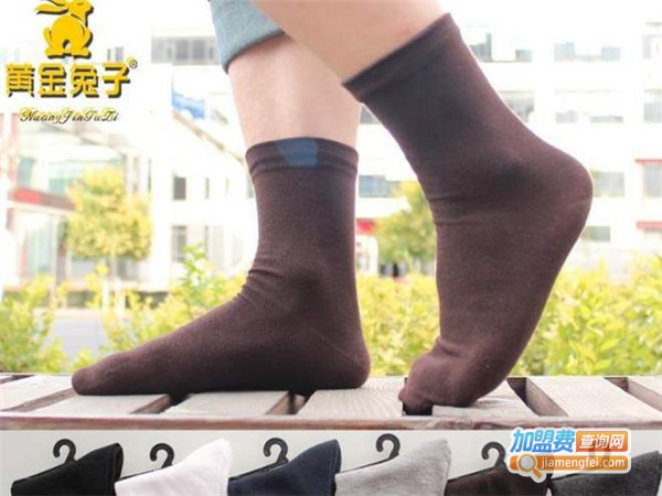 黄金兔子袜业加盟费