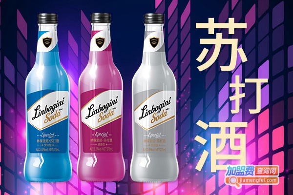 嗨舞奶味苏打酒加盟门店