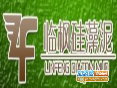 临枫硅藻泥加盟费