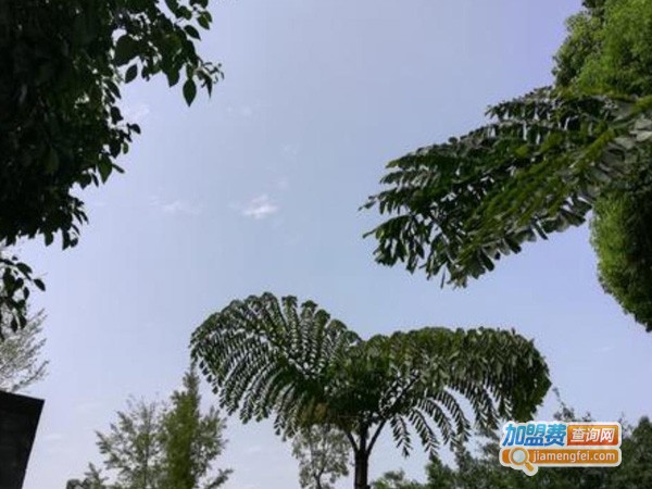 聚宇教育加盟费