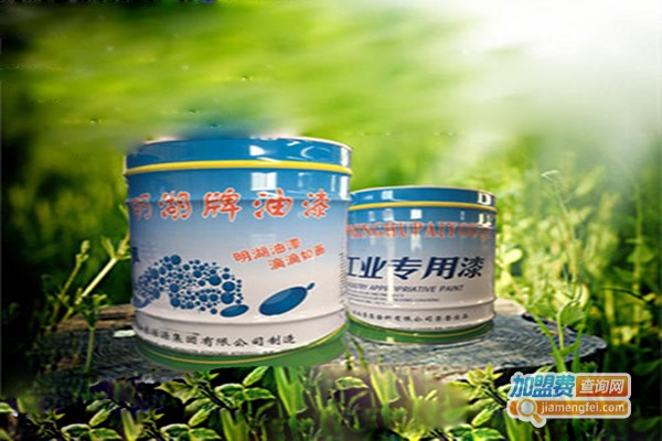 明湖涂料加盟门店