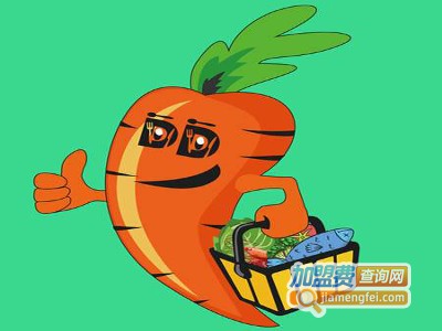 菜哆哆加盟电话