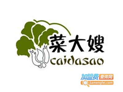 菜大嫂加盟电话