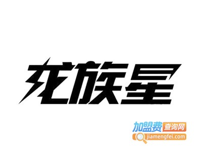 龙族星电动车加盟费