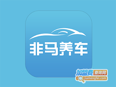 非马养车加盟费