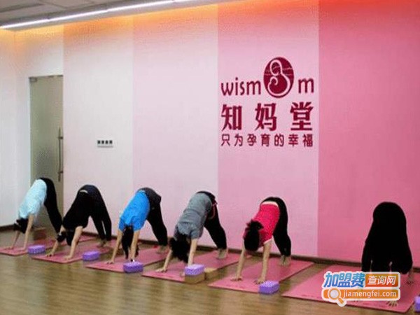 知妈堂胎教加盟费