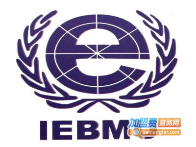 IEBMU电子商务培训加盟