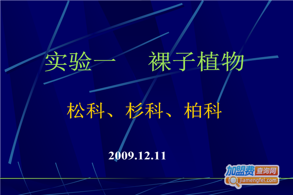 柏科管理教育