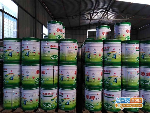奥丝丽涂料