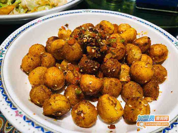 天山依莎古丽葡萄园餐厅加盟总部
