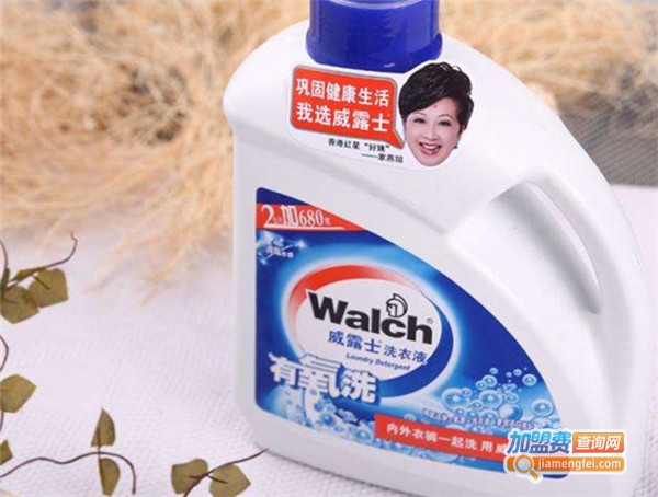 威露士加盟费