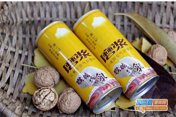 磨浆核桃乳加盟费