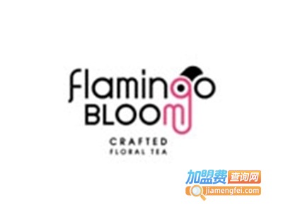 Flamingobloom加盟费