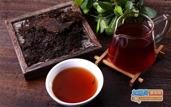 高黎贡山普洱茶加盟费